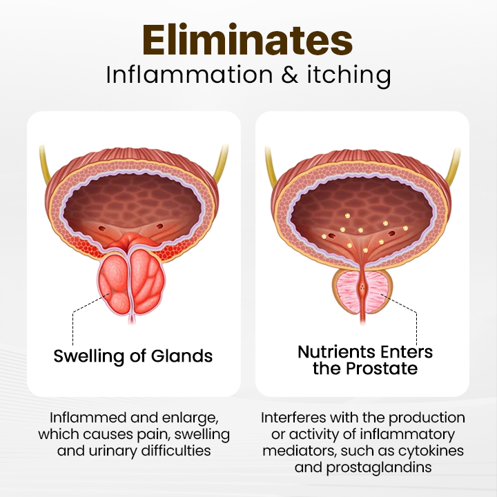 TAILEDEN™ Bee Wellness Inhaler