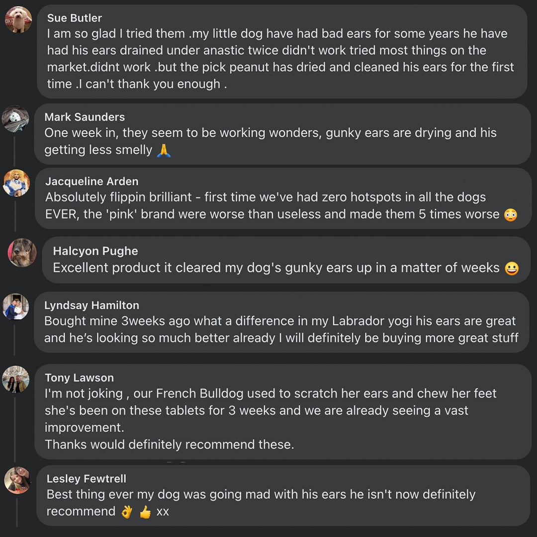 HZA™🐶Pre & Probiotics: Totalskin, Ear & Gut support🌈