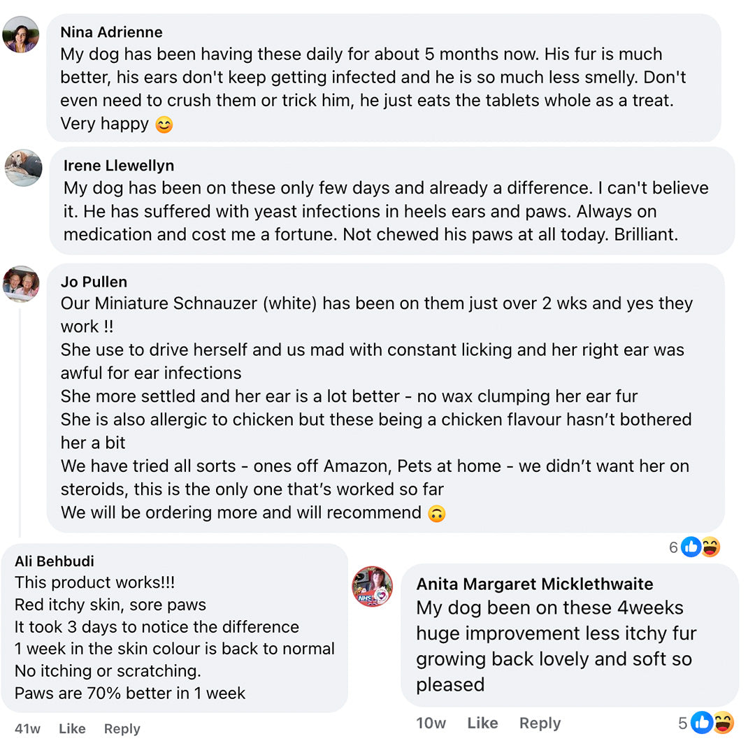 HZA™🐶Pre & Probiotics: Totalskin, Ear & Gut support🌈