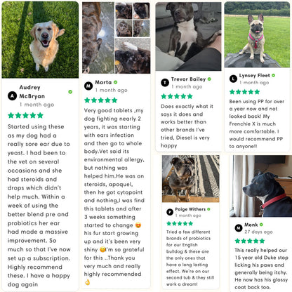 HZA™🐶Pre & Probiotics: Totalskin, Ear & Gut support🌈